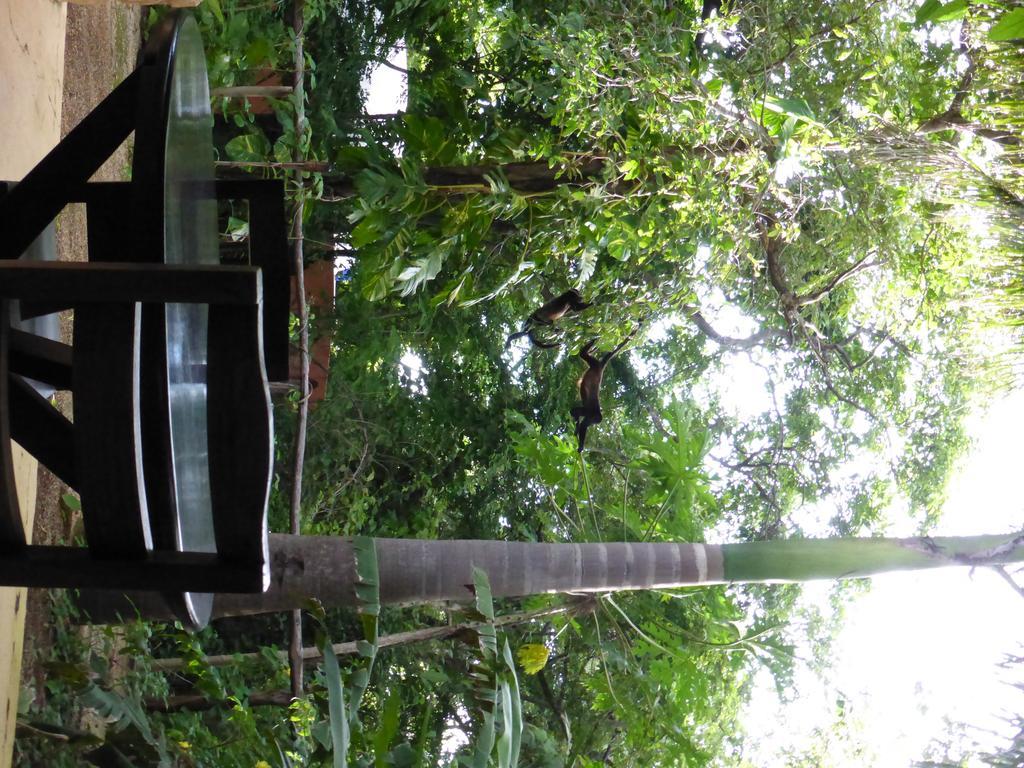 Mundo Milo Eco Lodge Paraiso  Екстер'єр фото